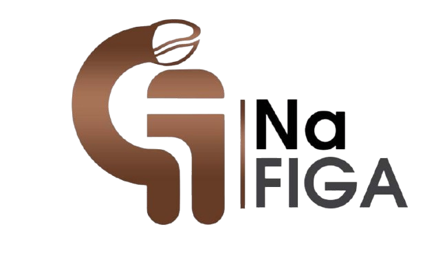 NA FIGA Logo